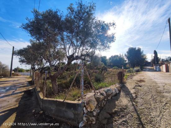  Terreno rústico en venta en Vilanova i la Geltrú, Mas Tapet - BARCELONA 