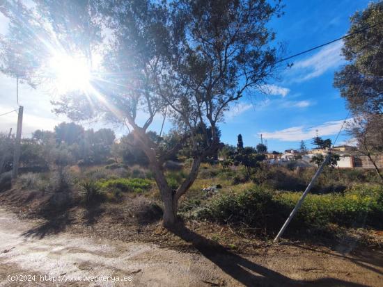 Terreno rústico en venta en Vilanova i la Geltrú, Mas Tapet - BARCELONA