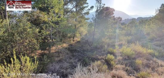 Parcela en Finestrat - ALICANTE