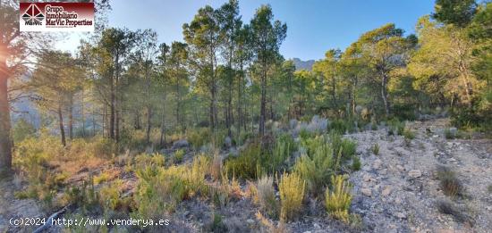 Parcela en Finestrat - ALICANTE