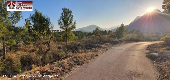  Parcela en Finestrat - ALICANTE 