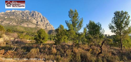 Parcela en Finestrat - ALICANTE