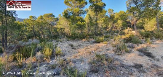 Parcela en Finestrat - ALICANTE