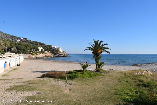 EN LA PLAYA DE AIGUADOLÇ - BARCELONA