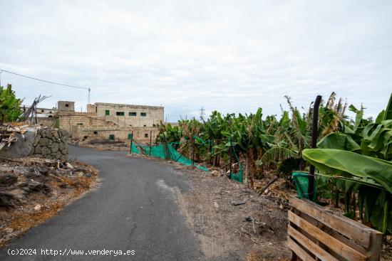 Finca en Adeje - SANTA CRUZ DE TENERIFE