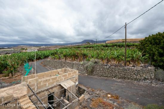 Finca en Adeje - SANTA CRUZ DE TENERIFE