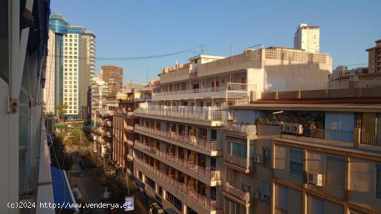  Amplio piso en zona Plaza Triangular! - ALICANTE 