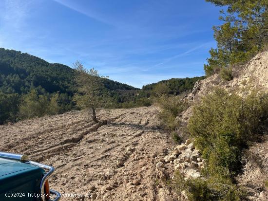 Finca rustica con olivos y almendros en Relleu Torremanzanes - ALICANTE