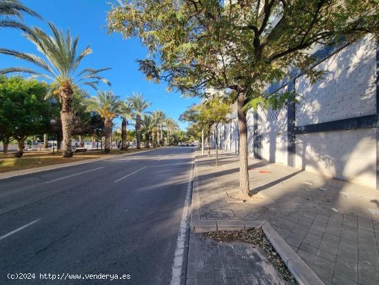 GRAN LOCAL A DOS CALLES EN ALQUILER - ALICANTE