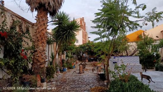  IMPRESIONANTE CASA EN OLULA DEL RÍO( ALMERÍA) PARA REFORMAR - ALMERIA 