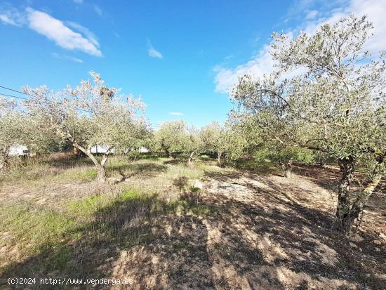 Se Vende en Jerez de la Frontera - CADIZ