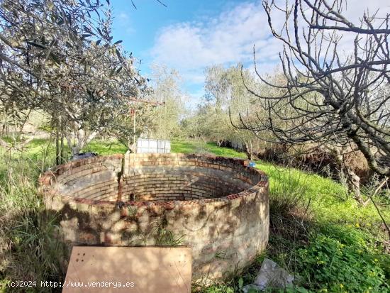 Se Vende en Jerez de la Frontera - CADIZ