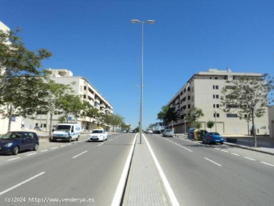  ESTUPENDO LOCAL EN AVENIDA JUAN CARLOS I - CADIZ 