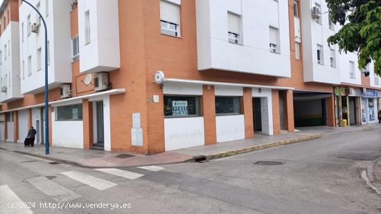 Local comercial en Avenida de la Libertad - CADIZ