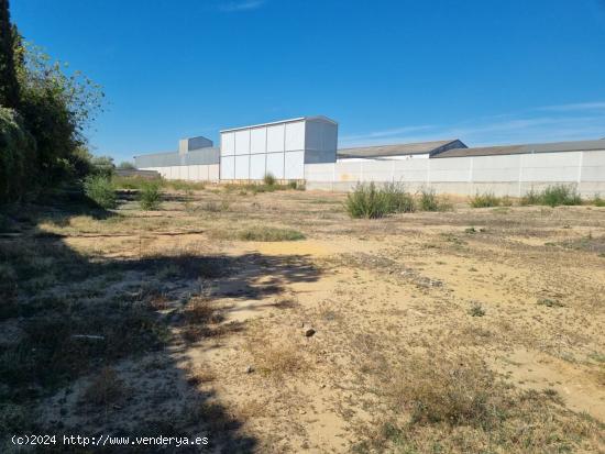  Terreno urbano en Mairena del Aljarafe - SEVILLA 