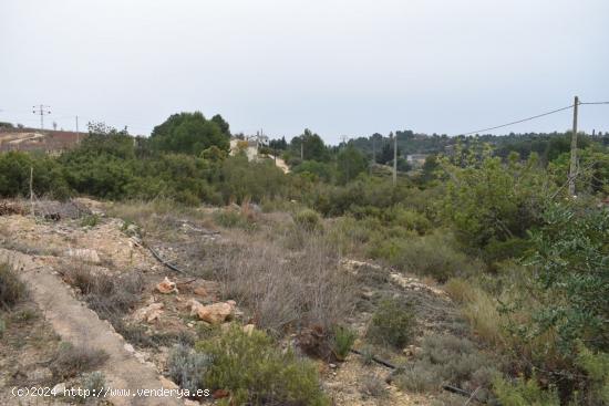 VENTA PARCELA EN URBANIZACION LOMA CABALLERO GODELLETA - VALENCIA