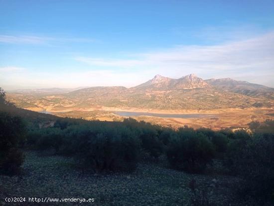  SE VENDE FINCA RUSTICA EN ZAHARA DE LA SIERRA - CADIZ 