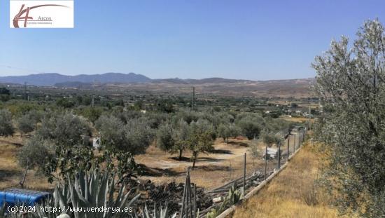 FINCA RUSTICA - GRANADA