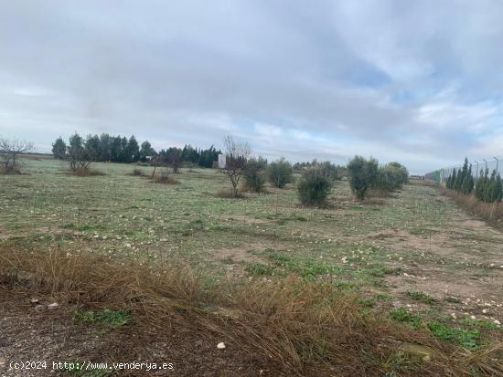  SE VENDEN 30.000M DE TERRENO RUSTICO, CASA Y NAVE EN CTRA DE JAEN. - ALBACETE 