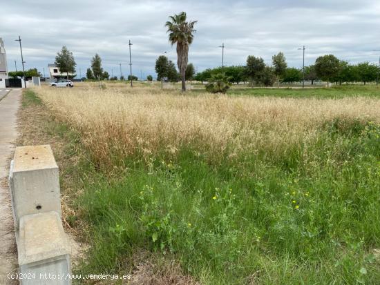 SUELO URBANO  ESQUINERO  PARA EDIFICAR EN, PLAYA PLA DE LA TORRE, ALMAZORA - CASTELLON