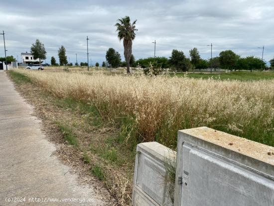 SUELO URBANO  ESQUINERO  PARA EDIFICAR EN, PLAYA PLA DE LA TORRE, ALMAZORA - CASTELLON