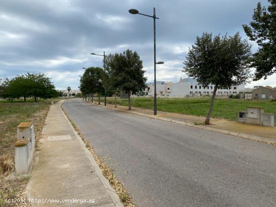 SUELO URBANO  ESQUINERO  PARA EDIFICAR EN, PLAYA PLA DE LA TORRE, ALMAZORA - CASTELLON