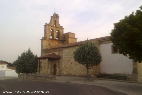 Urbis te ofrece una finca rústica en Valverdón, Salamanca. - SALAMANCA