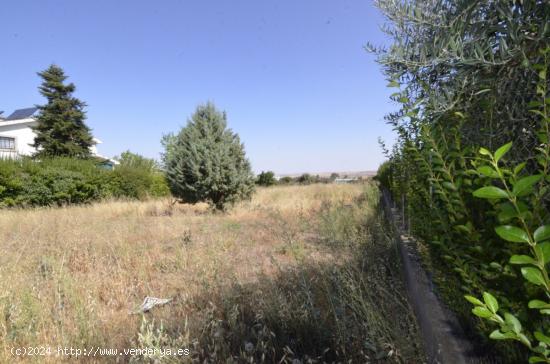  Urbis te ofrece un terreno Urbano en venta en Carrascal de Barregas zona URB. PEÑASOLANA, Salamanca 