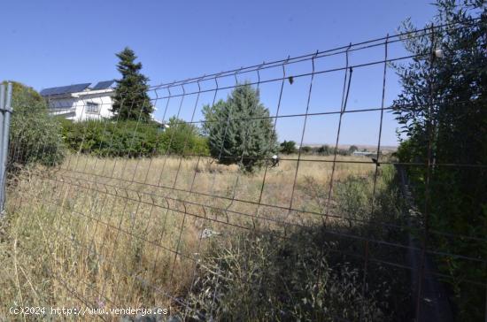 Urbis te ofrece un terreno Urbano en venta en Carrascal de Barregas zona URB. PEÑASOLANA, Salamanca