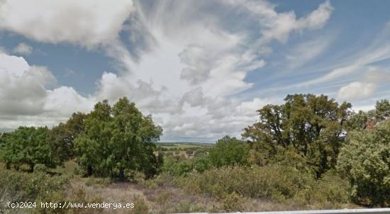  Urbis te ofrece una parcela en Peleas de Arriba, Zamora. - ZAMORA 