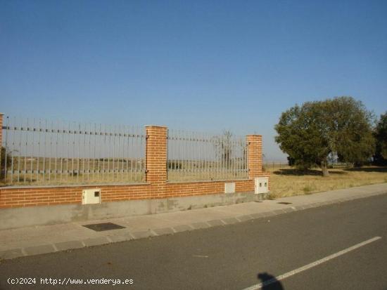  Urbis te ofrece una estupenda parcela en venta en zona Cuatro Calzadas,  Salamanca. - SALAMANCA 