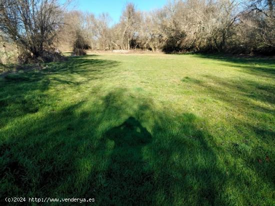 Urbis te ofrece dos terrenos rústicos en venta en Encina de San Silvestre, Salamanca. - SALAMANCA