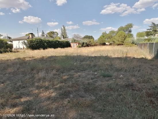 Terreno totalmente llano y vallado ideal para construir casa independiente.. - MADRID