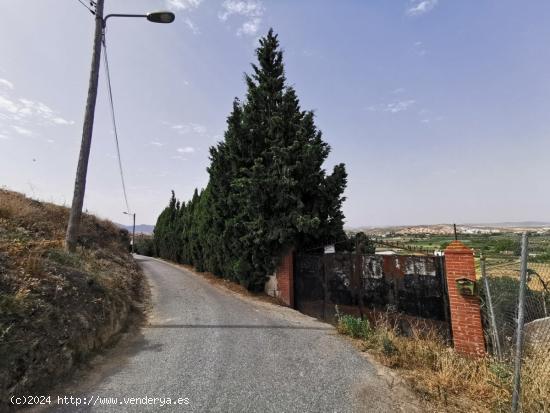 Solar de uso residencial en Alhendín - GRANADA