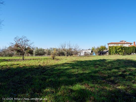 Finca Rústica en Alcaudete (Jaén) - JAEN