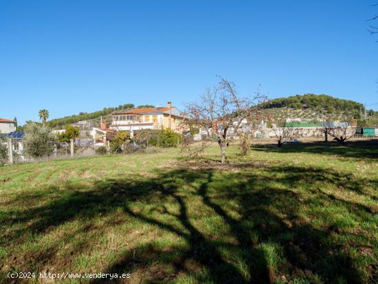 Finca Rústica en Alcaudete (Jaén) - JAEN