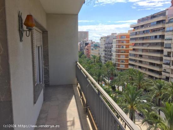 Bonito y céntrico piso . Zona Luceros - ALICANTE