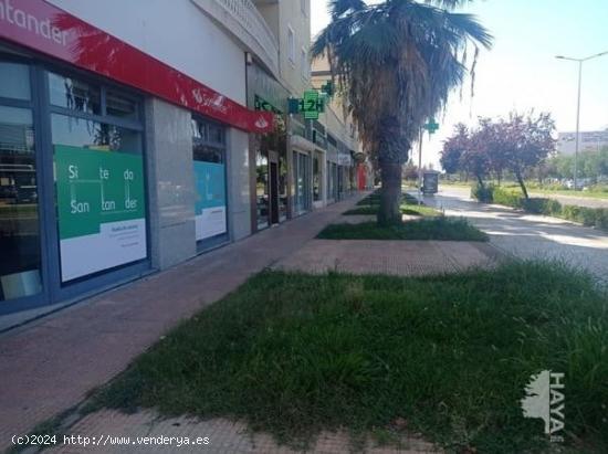 Local en venta en Avenida De Elvas, 11, 06006, Badajoz (Badajoz) 261.000 € - BADAJOZ