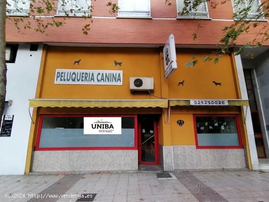 LOCAL EN VENTA EN AVDA DAMIÁN TÉLLEZ LAFUENTE - BADAJOZ