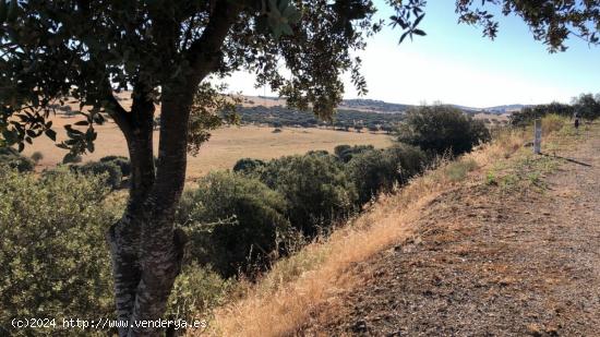 FINCA EN VALVERDE DE LEGANES - BADAJOZ