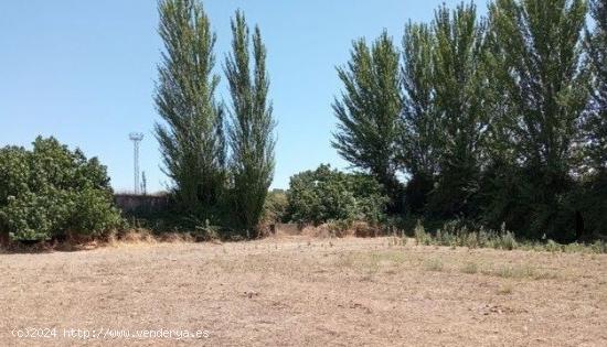 SE VENDE FINCA EN ZAFRA - BADAJOZ