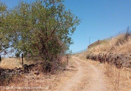 SE VENDE FINCA EN ZAFRA - BADAJOZ