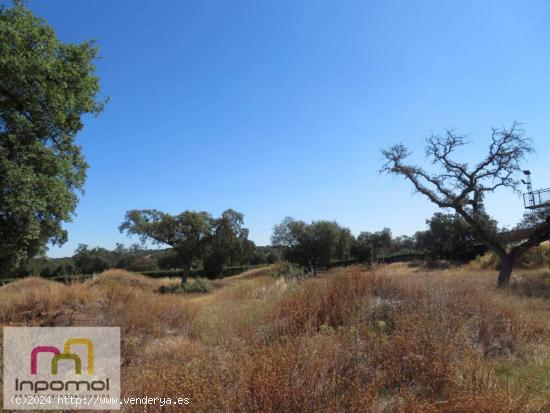 PARCELA en venta  - BADAJOZ