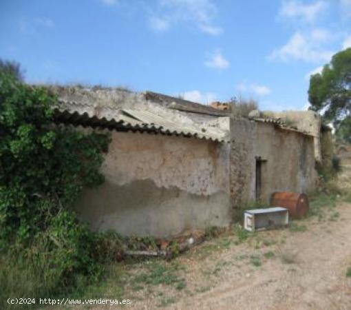  Casa Cueva para turismo rural en Rio Chicamo - MURCIA 