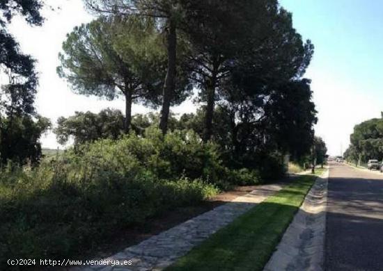  Suelo Urbano en Bollullos de la Mitación - SEVILLA 