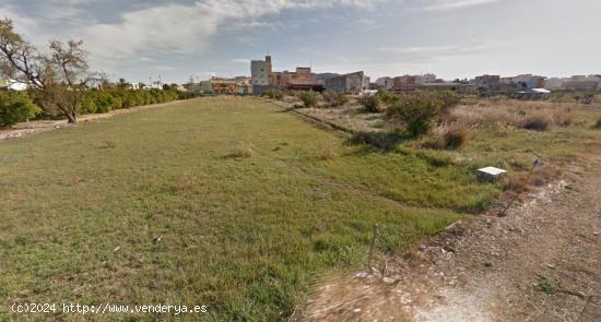 Terreno urbanizable en El Verger (Alicante) - ALICANTE