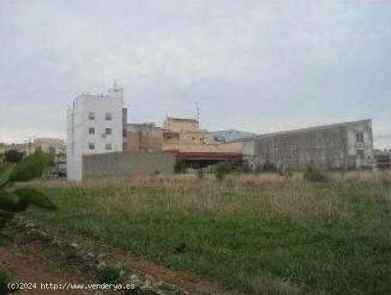 Terreno urbanizable en El Verger (Alicante) - ALICANTE