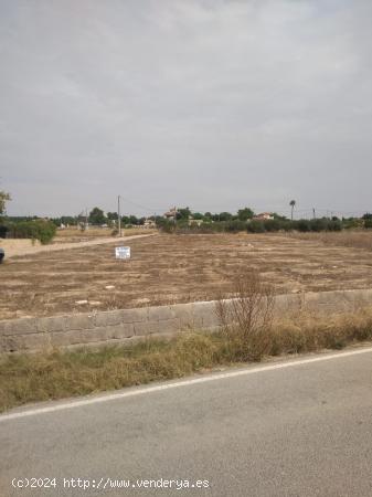 Terreno Urbano en La Almazara - MURCIA