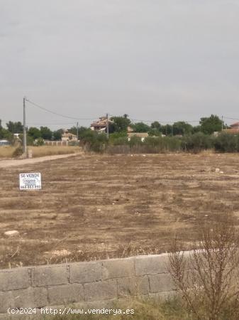 Terreno Urbano en La Almazara - MURCIA