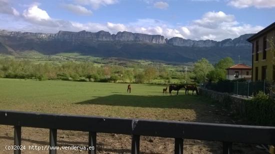  Se Vende Terreno Urbano en Villanueva de Mena - BURGOS 